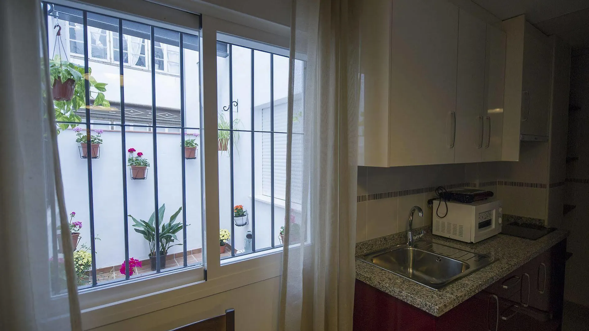 Apartamentos Gibralfaro Centro Málaga 0*,